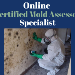 online mold assessor specialist