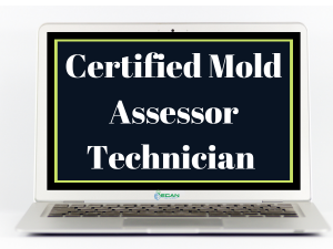 Certified Mold Assessor Technician Course