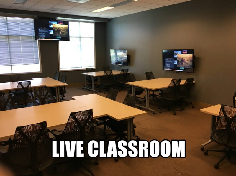 Live classroom image